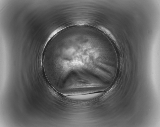 X0000085751226200704091310