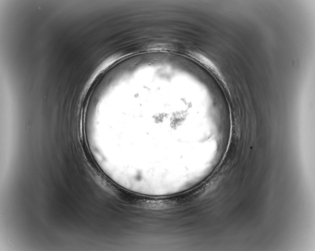 X0000085751227200704091310