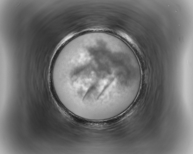 X0000085751229200704091310