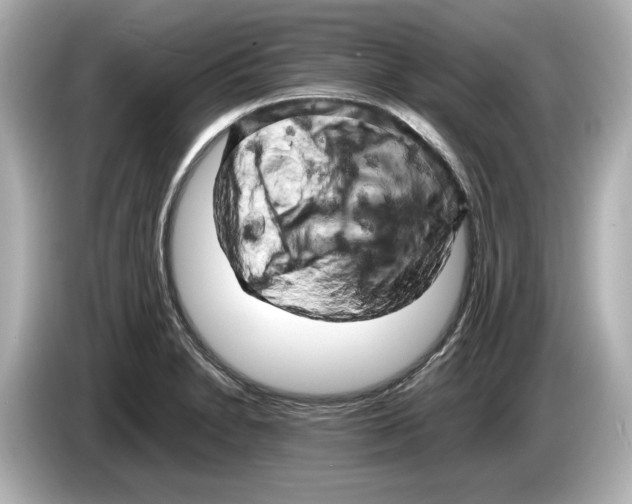 X0000085751230200704091310