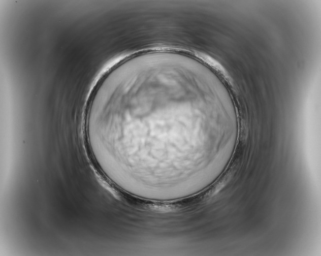 X0000085751231200704091310