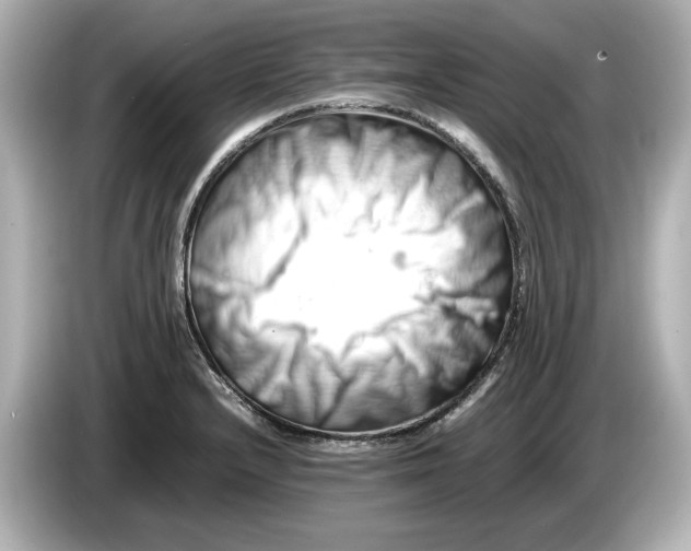 X0000085751232200704091310