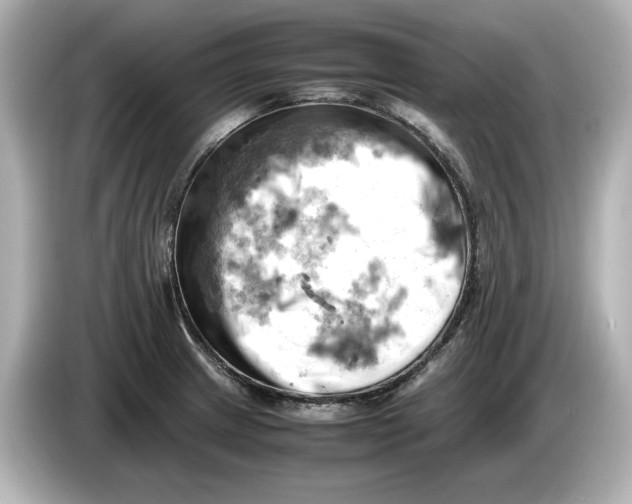 X0000085751233200704091310