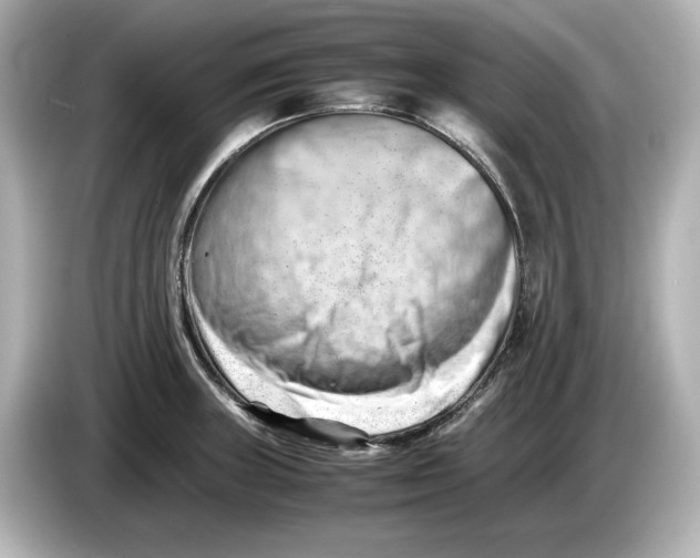 X0000085751235200704091310