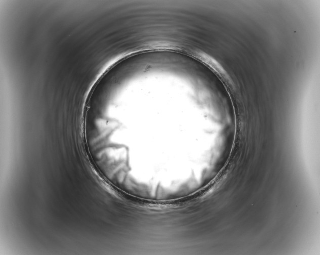 X0000085751236200704091310