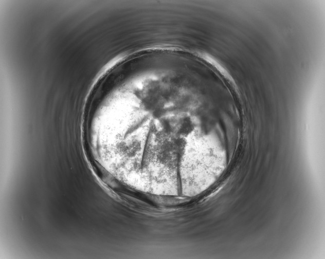 X0000085751237200704091310