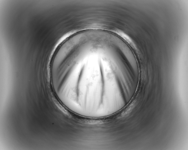 X0000085751238200704091310