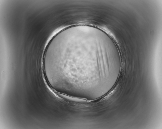 X0000085751239200704091310