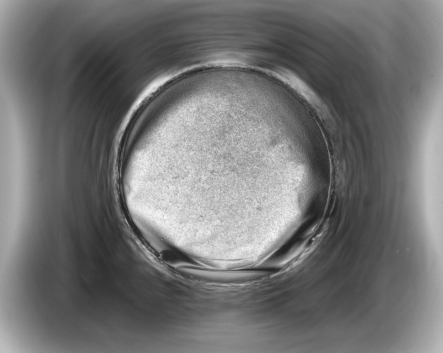 X0000085751240200704091310