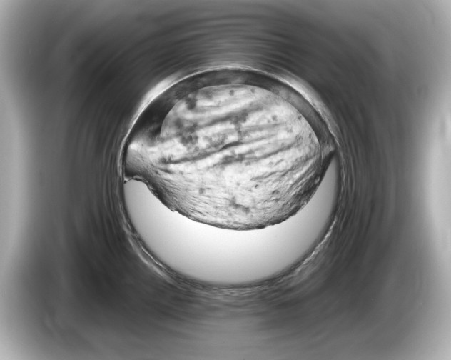 X0000085751242200704091310