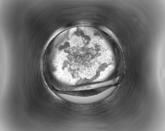 X0000085751243200704091310