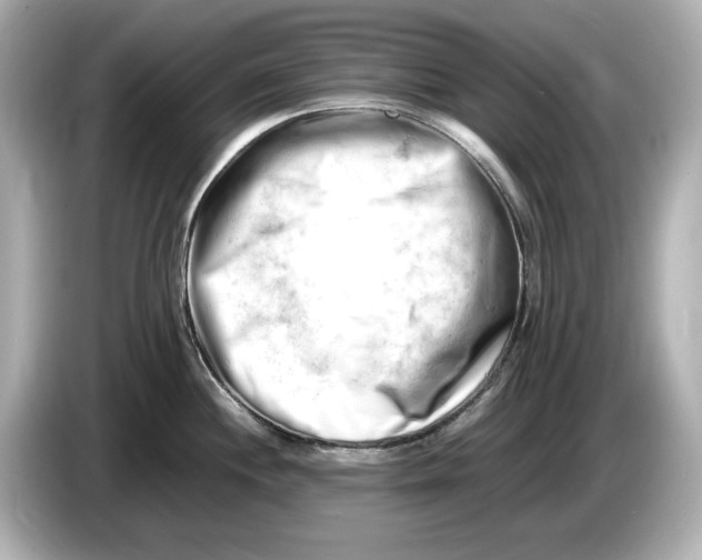 X0000085751244200704091310