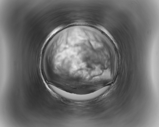 X0000085751245200704091310