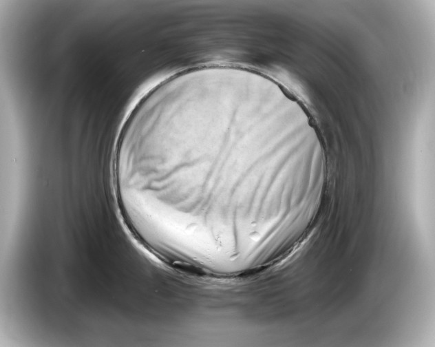 X0000085751247200704091310