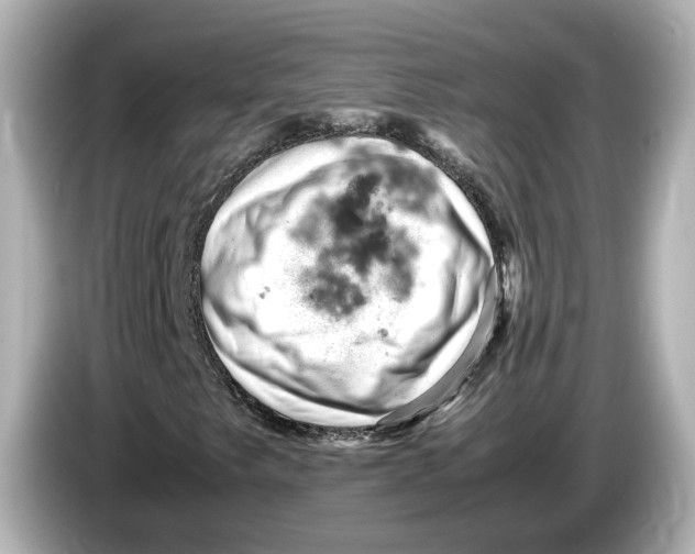 X0000085751249200704091310