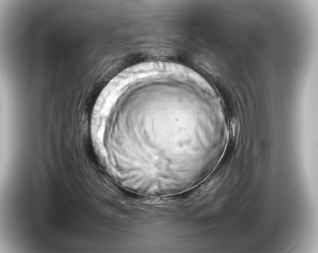 X0000085751251200704091310