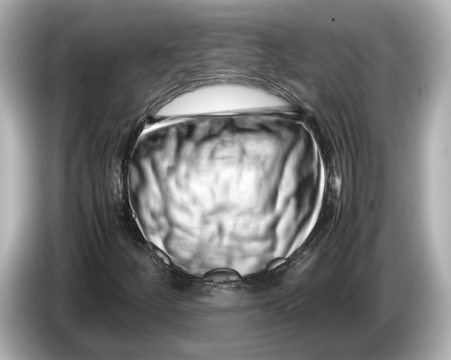 X0000085751252200704091310