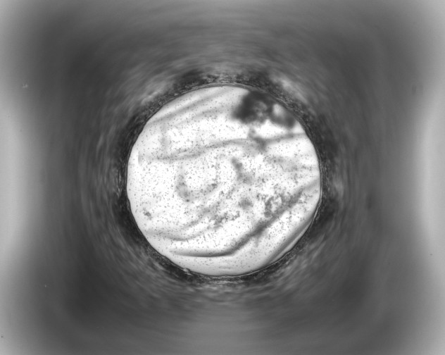 X0000085751253200704091310