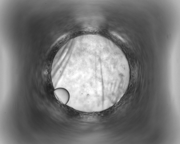 X0000085751254200704091309