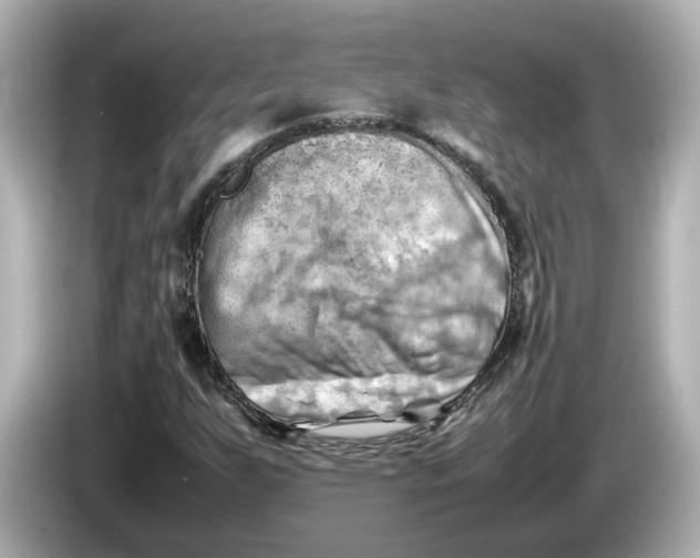 X0000085751255200704091309