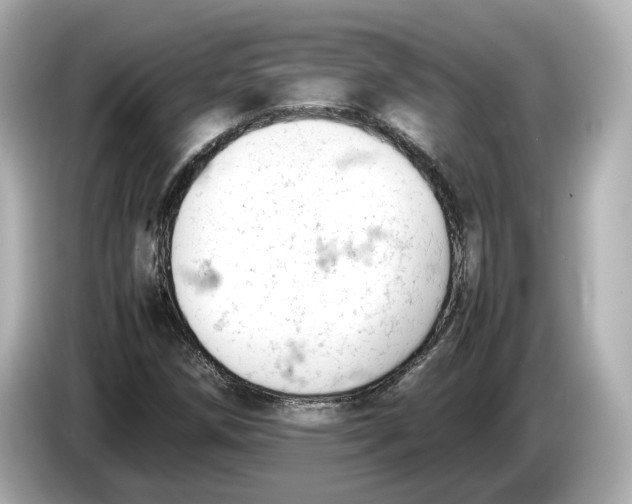 X0000085751258200704091309