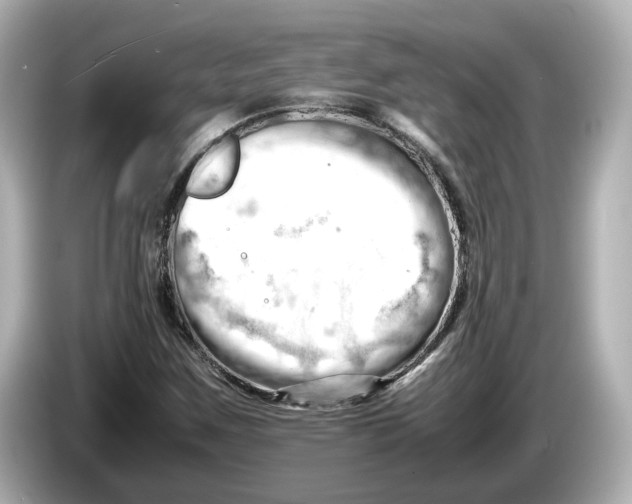 X0000085751259200704091309