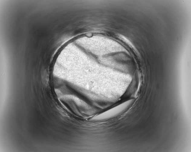 X0000085751260200704091309