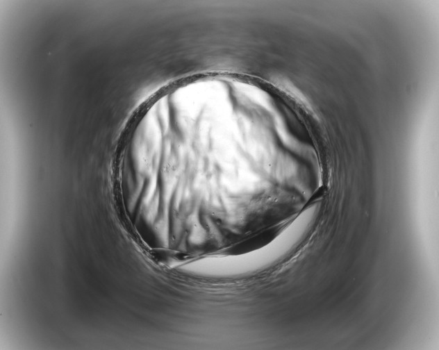 X0000085751264200704091309