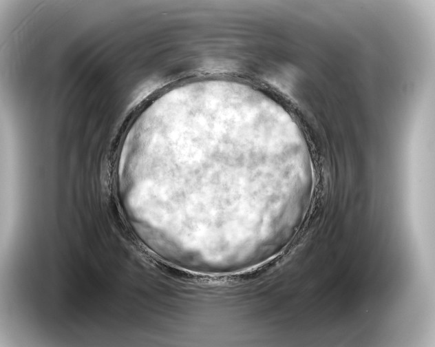 X0000085751266200704091309