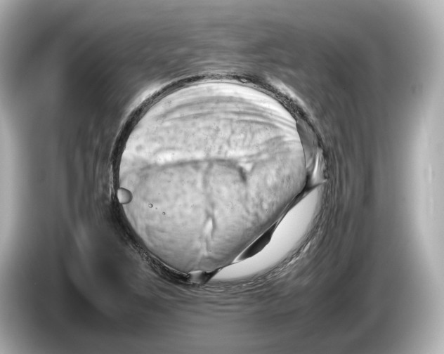 X0000085751267200704091309