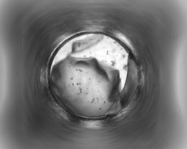 X0000085751268200704091309