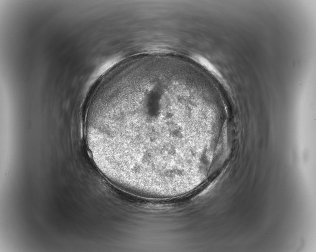 X0000085751269200704091309