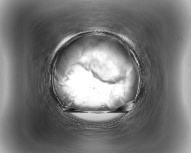 X0000085751271200704091309