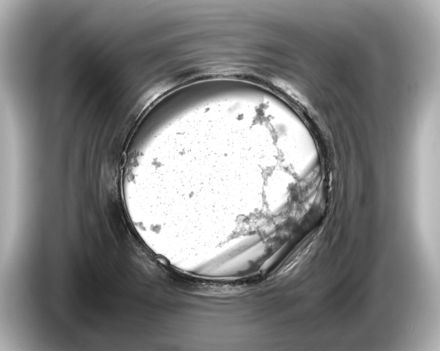 X0000085751273200704091309