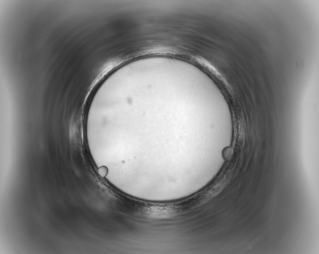 X0000085751274200704091309