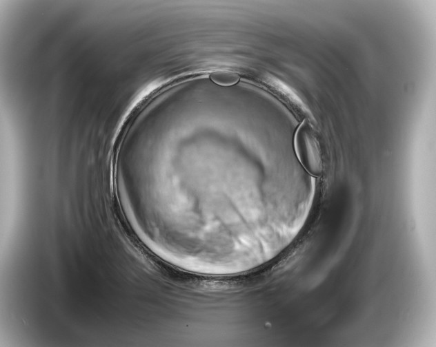 X0000085751275200704091309