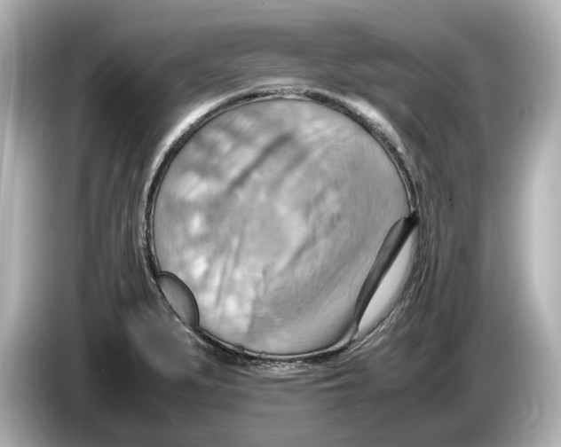 X0000085751279200704091309