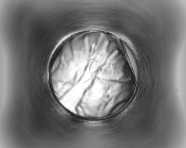 X0000085751280200704091309