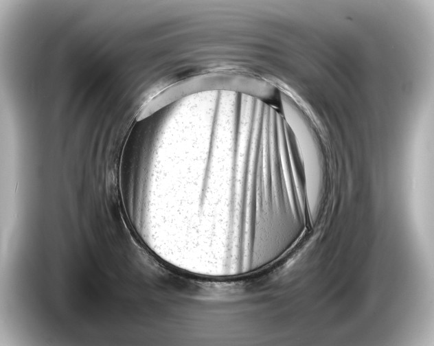 X0000085751281200704091309