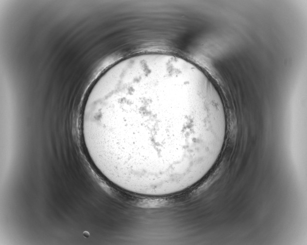 X0000085751282200704091309