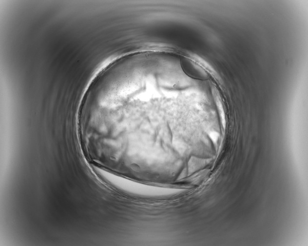 X0000085751283200704091309