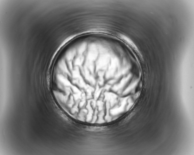 X0000085751284200704091309