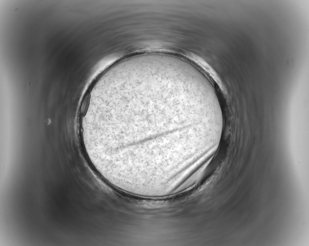 X0000085751285200704091309