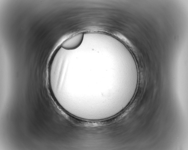 X0000085751286200704091309