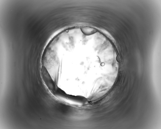 X0000085751287200704091309