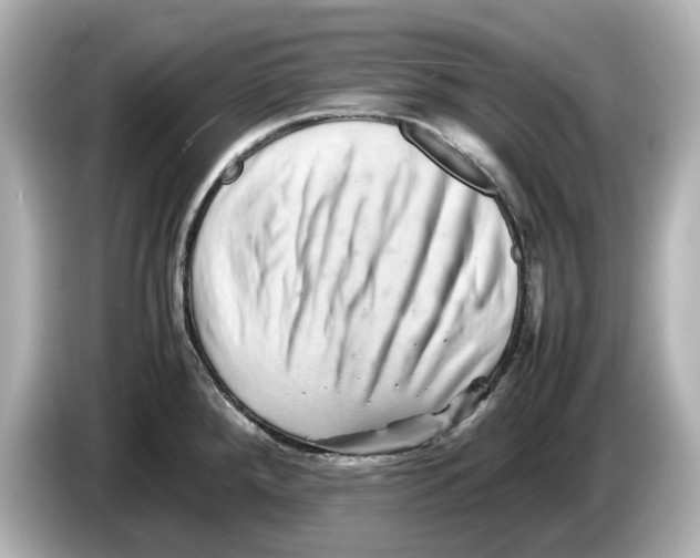 X0000085751288200704091309