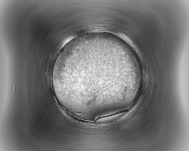 X0000085751289200704091309