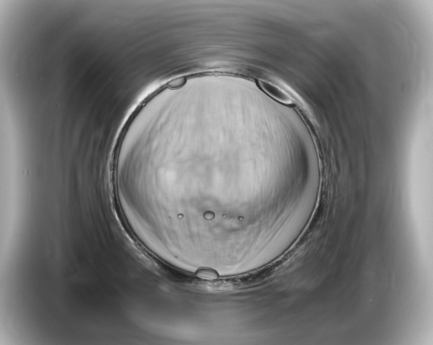 X0000085751291200704091309