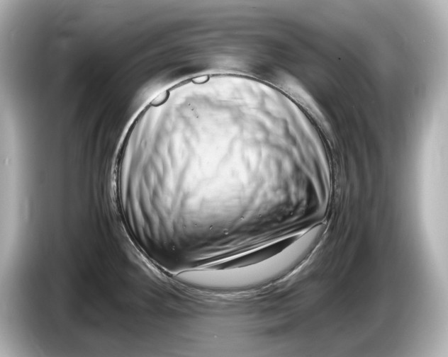 X0000085751292200704091309