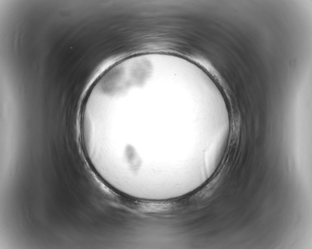 X0000085751294200704091309